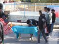 گزارش تصویری اردوی نو دانشجویان 1403